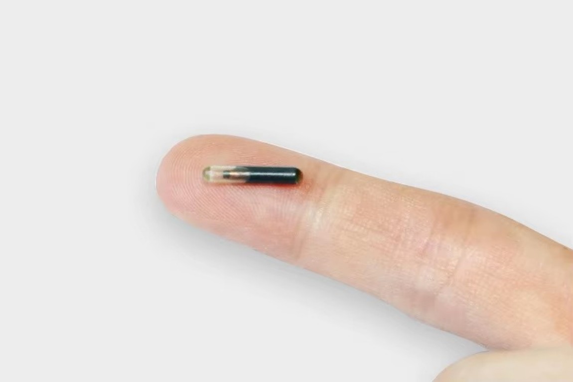 1775632533879471.jpg Pet Microchip Tag (8).jpg