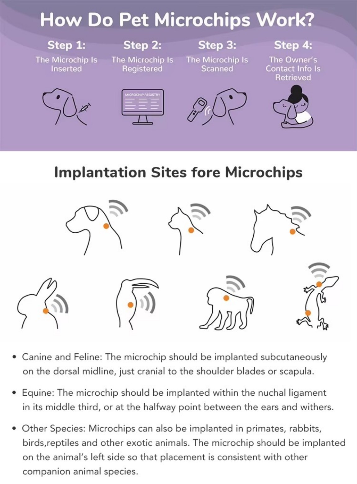1775632905346649.jpg RFID pet microchips (1).jpg