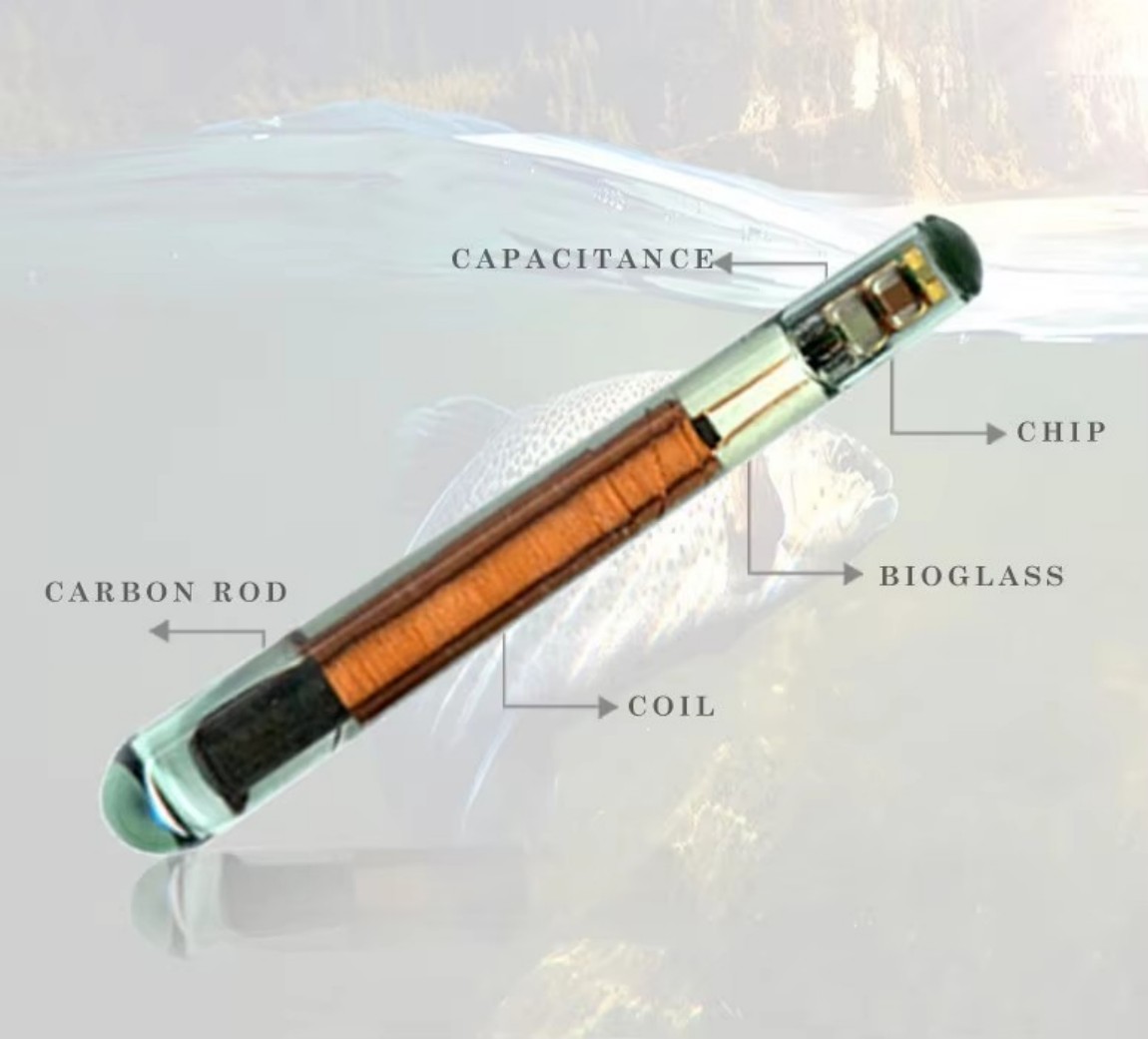 1775633830951802.jpg Animal Microchip Syringe (1).jpg