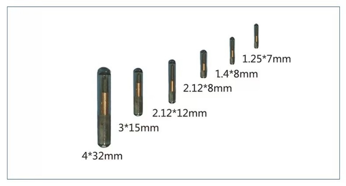 1775633841962331.jpg Animal Microchip Syringe (5).jpg
